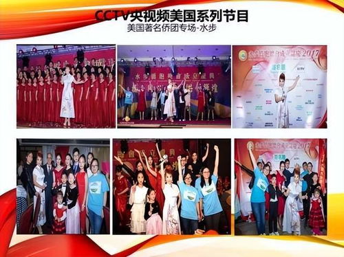 跨越文化之桥 央视主持人董涛在纽约主持重要文化活动，推动中美文化艺术交流