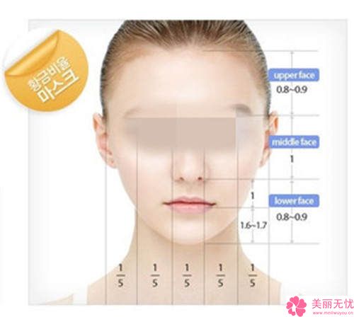 2023年沧州市上颌牙齿矫正医院排名榜前十强综合一览